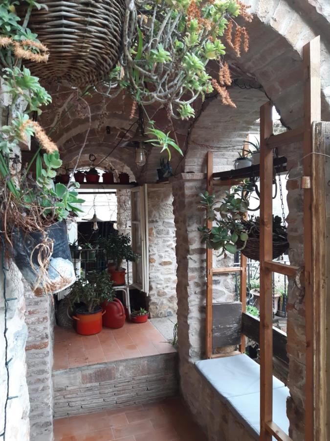 Attic With Balcony At Locanda Del Capo Capannori Εξωτερικό φωτογραφία